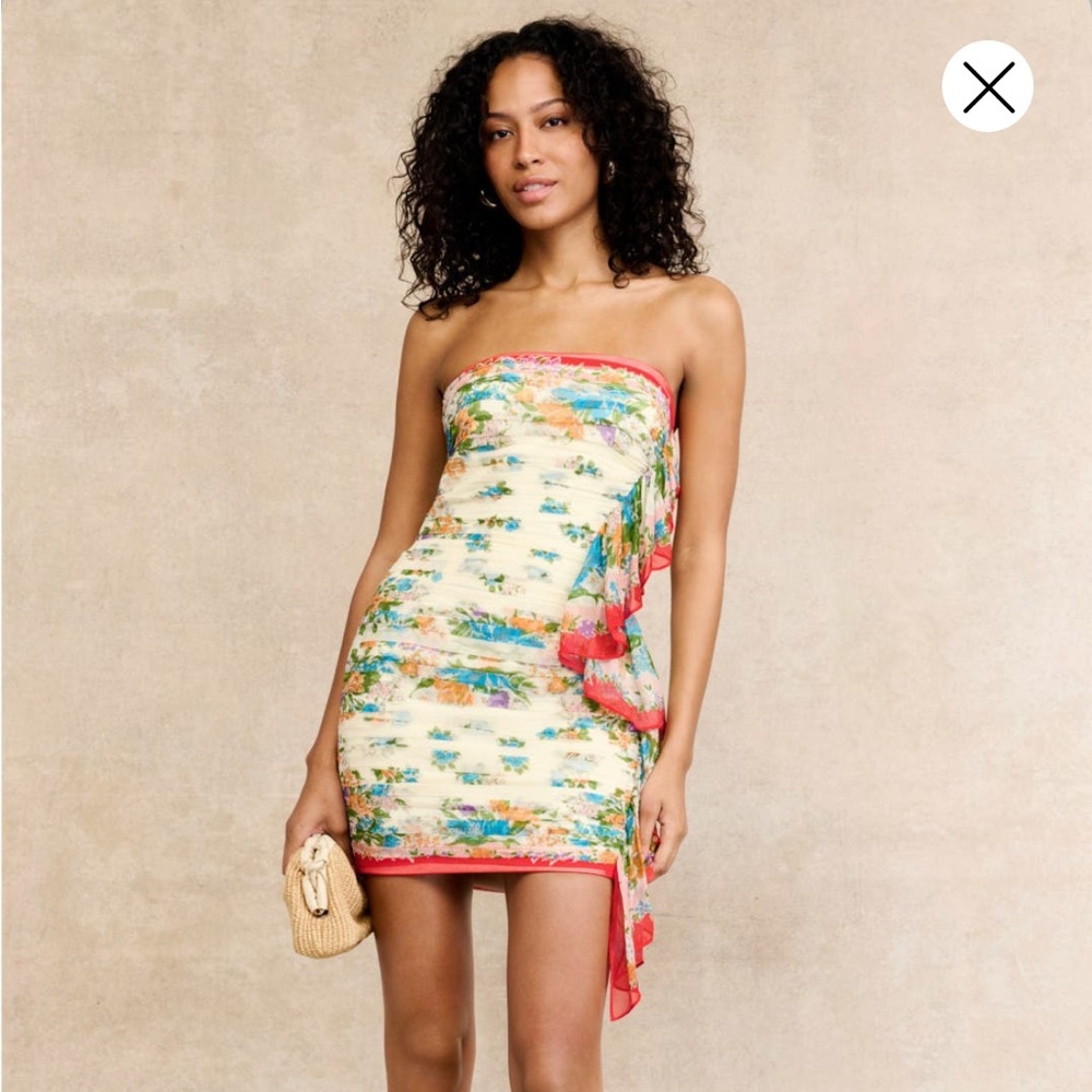 Ronny Kobo Sloane Dress, Medium